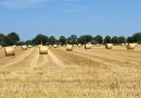 Jugendpolitisches Forum: Junge Menschen diskutieren über die Landwirtschaft der Zukunft