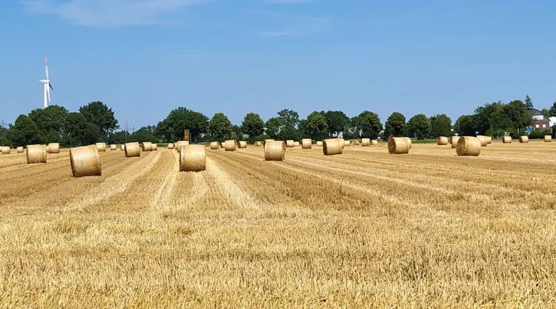 Jugendpolitisches Forum: Junge Menschen diskutieren über die Landwirtschaft der Zukunft