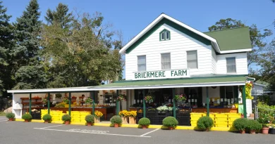 Long Island im Herbst: Zwischen Weinbergen, Apfelgärten und Farmabenteuern
