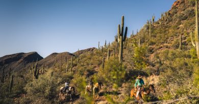 Winterflucht nach Arizona: Outdoor-Abenteuer unter der Wüstensonne