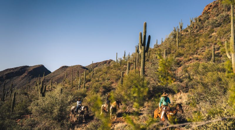 Winterflucht nach Arizona: Outdoor-Abenteuer unter der Wüstensonne