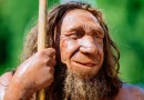 Neanderthal Museum: Eine Zeitreise durch die Geschichte der Menschheit