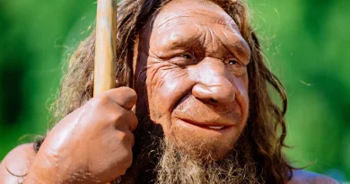 Neanderthal Museum: Eine Zeitreise durch die Geschichte der Menschheit