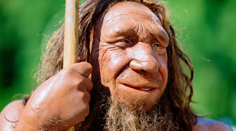 Neanderthal Museum: Eine Zeitreise durch die Geschichte der Menschheit